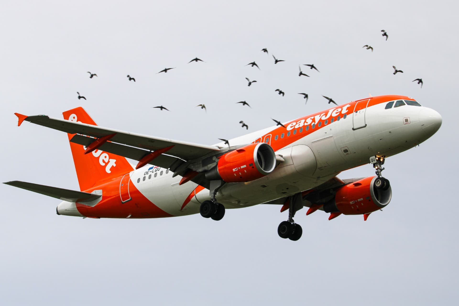 EasyJet Launches Nantes–Brussels and Nantes–Essaouira Routes for Autumn 2026