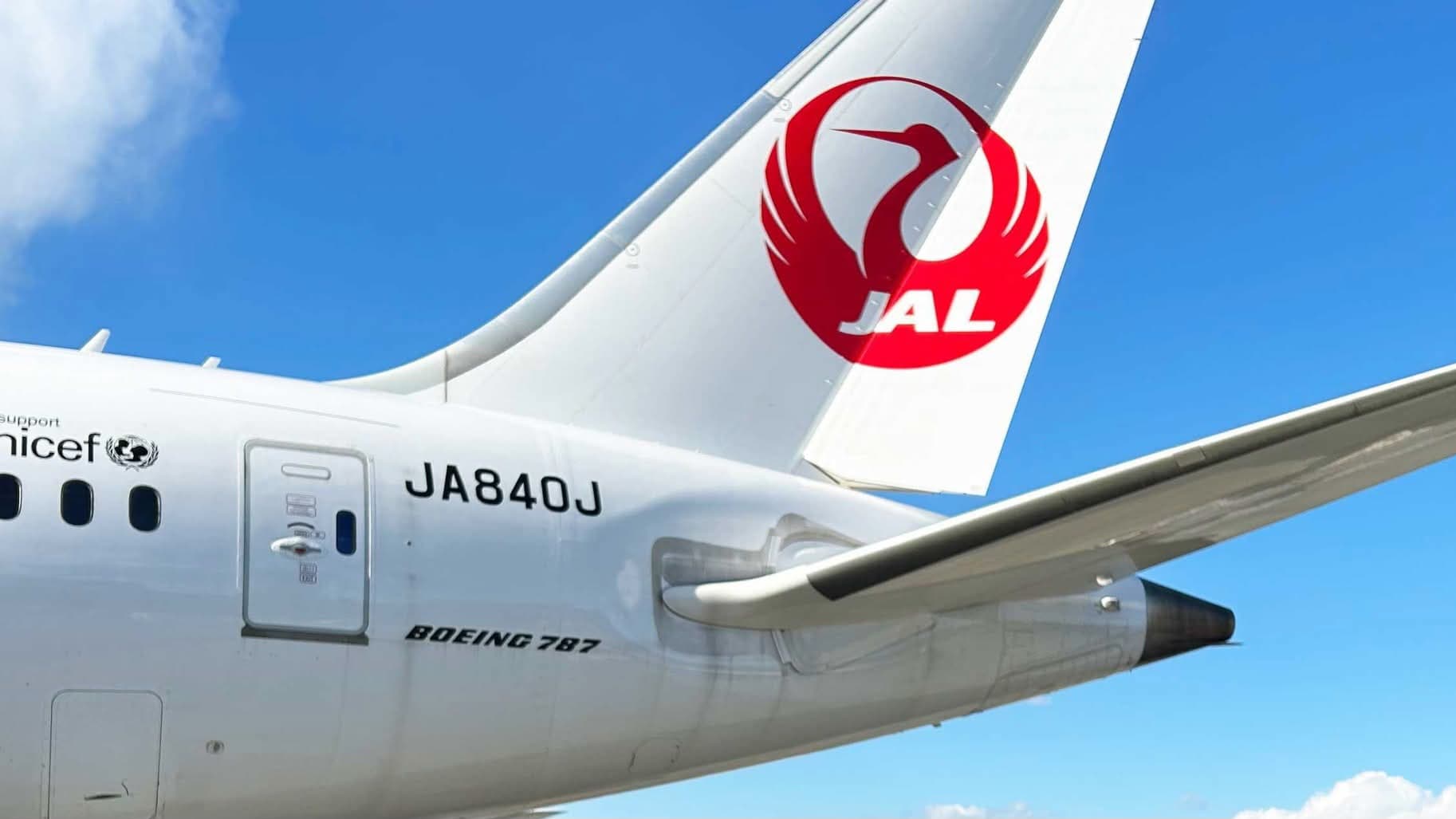 Japan Airlines Bans Crew Alcohol During Layovers After Positive Test Delays Flight