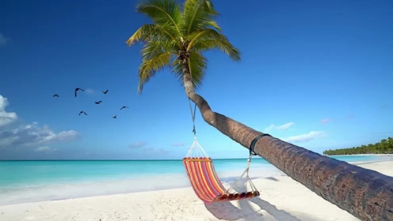 Summer 2026 Travel Trends: Long-Haul Flights Make a Comeback, Impact on ATPL and ATC Students